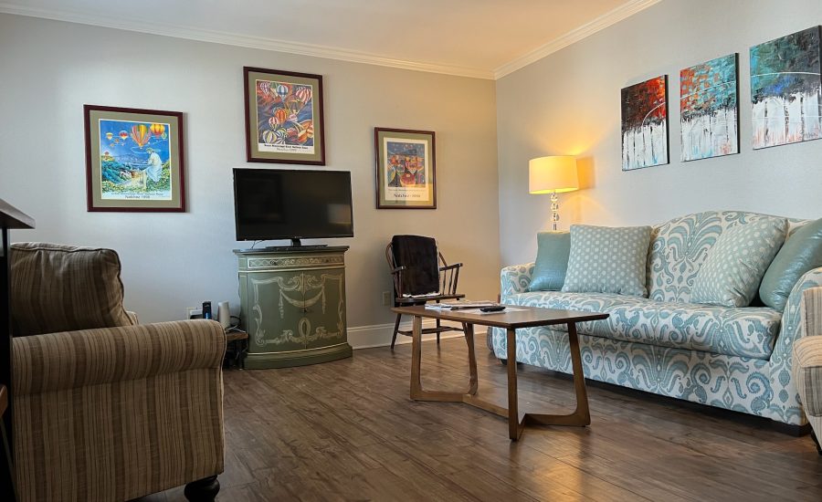 Image of Professional Suite Living Room